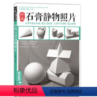[正版]经典全集石膏几何体静物照片书画素描专业摄影对画照片图书杨建飞主编
