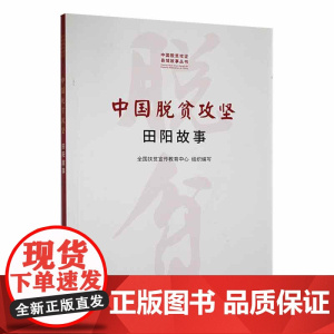 中国脱贫攻坚:田阳故事(中国脱贫攻坚县城故事丛书)