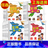 数学 九年级下 [正版]金牌一课一练 语文数学英语物理化学 六七八九年级上册下册/6789年级第一二学期 上海版数学配套