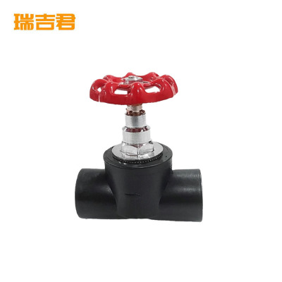 瑞吉君 PE截止阀 25mm 个