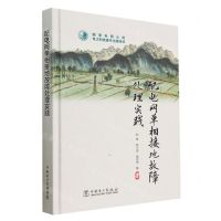 [N]配电网单相接地故障处理实践(精)-9787519870836