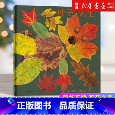 [正版]书店叶子先生 精装宝宝启蒙绘本图画书幼儿园绘本睡