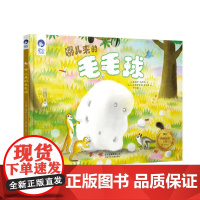 星空世界精选图画书 哪儿来的毛毛球