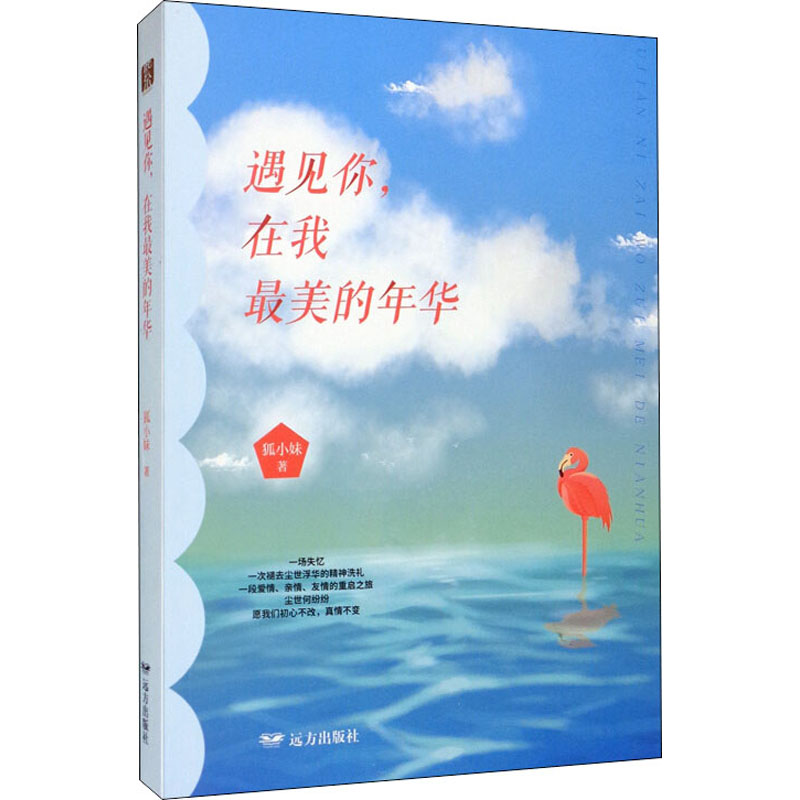 醉染图书遇见你,在我的年华9787555513452