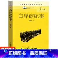 [正版]白洋淀纪事名著课程化整本书阅读丛书孙犁初中七年级上语文名著导读 高中语文整本书阅读中学生课外阅读名著课程化名师
