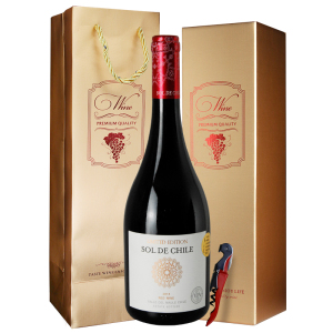 爱克维iCuvee精品酒 智利进口红酒 阳光勋章年份限量版干红葡萄酒 750ml 单支礼盒装