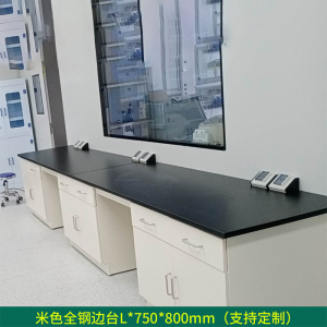 铭威盾全钢实验台钢木PP边台柜试验台化验室工作台实验室桌操作台定制(每米单价)