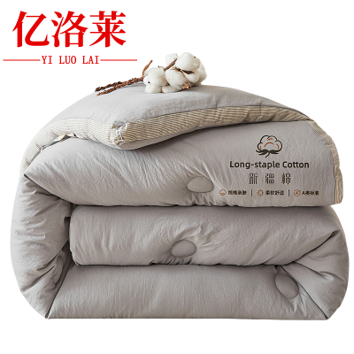亿洛莱 棉被芯 150*200cm约6斤 张