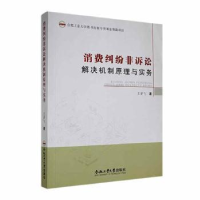 音像消费纠纷非诉讼解决机制原理与实务王梦飞著