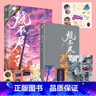 [正版]烧不尽 回南雀 著 新增出版番外 双向温暖 飞鸥不下 青梅屿 作者 青春文学实体小说书籍 新视角图书