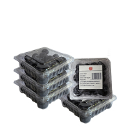 艾提尕蓝莓100克*5盒/份