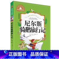 尼尔斯骑鹅旅行记 [正版]小学生一二年级三年级课外阅读书籍昆虫记木偶奇遇记儿童版四大名著注音版小学生6-8-10岁童话故