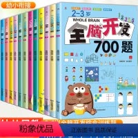 [全套12册]2-6岁全脑开发思维训练 [正版]全脑开发思维训练700题2-3-6岁幼儿益智启蒙早教书儿童左右脑智力大开