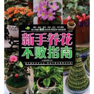 正版新书]新手养花不败指南王意成9787517015604
