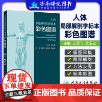 人体局部解剖学标本彩色图谱 头部表面结构 颞下颌关节 小脑的动脉 大脑大静脉及其属支 主编王昊飞等人民卫生出版社9787