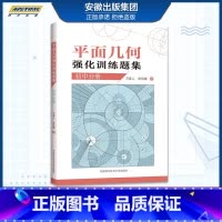 [正版]平面几何强化训练题集 初中分册 初中通用初一二三七八九年级355道新编初中几何题 解题技巧 初中高训练价值原创题