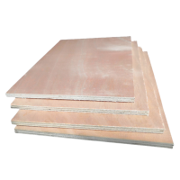 满盛达建 胶合板 2440*1220*30mm 张