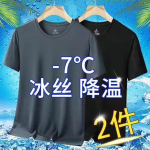冰丝速干短袖T恤男士夏季薄款透气休闲运动修身圆领衫网眼t1/2件