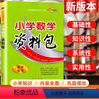 [正版]小学数学资料包必刷题人教版小学生一二三年级四五六年级基础知识大全手册数学讲解全国通用小升初系统总复习资料书专项