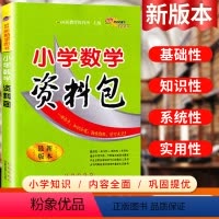 [正版]小学数学资料包必刷题人教版小学生一二三年级四五六年级基础知识大全手册数学讲解全国通用小升初系统总复习资料书专项