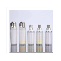 圣恩天泽 LED球泡灯 TSYJ 12W 个