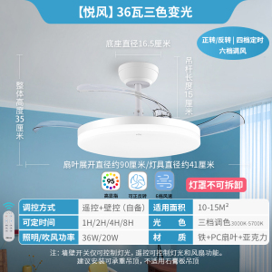 雷士照明(NVC)吊扇灯客厅餐厅家用风扇吊灯简约现代电扇灯具遥控变频隐形风扇灯