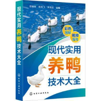 音像现代实用养鸭技术大全郑嫩珠,程龙飞,辛清武主编