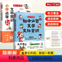 初中+小学必背文学常识 [正版]小学初中必背文学文化常识思维导图速记中考语文基础知识大全文学常识积累大全通用版中国文学文