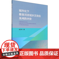 城市化下秦淮河流域水文效应及风险评价 高玉琴 著 建筑/水利(新)专业科技 正版图书籍 中国水利水电出版社
