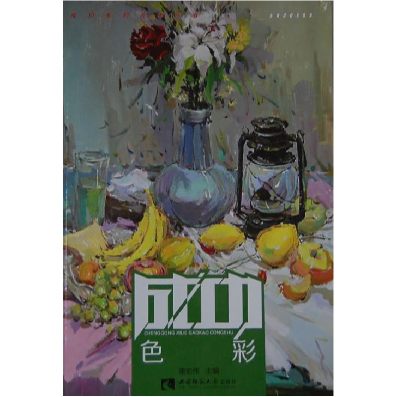 正版新书]成功系列高考丛书:色彩唐宏伟 著9787562165064