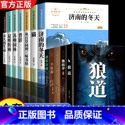 [全套12册]六年级课外书+励志书受益一生 [正版]国一必读的课外书 小升初课外书必读书籍下册 适合小学六升国一初一看的