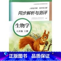 8上生物人教版 [正版]2025新版同步解析与测评 八年级上册8年级生物学初中人教版金学典同步练习册