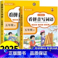 [六年级上册+下册]看拼音写词语 小学六年级 [正版]看拼音写词语六年级下册 语文小学注音生字拼音拼读字词6年级上汉字专