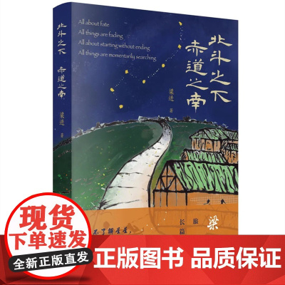 北斗之下,赤道之南 梁进 山东文艺出版社 正版书籍