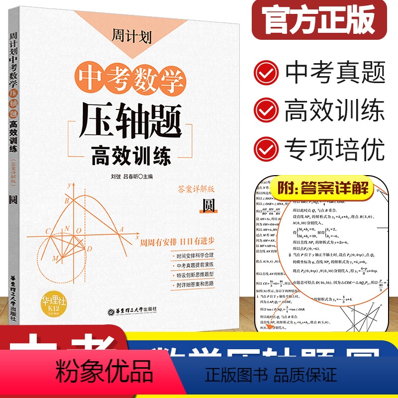 中考数学压轴题高效训练[圆] 初中通用 [正版]中考数学压轴题高效训练圆九年级周计划初中初三3九9年级上下册中考