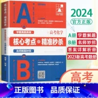 化学 高中通用 [正版]2024支点魔方核心考点精准新高考数学物理化学生物解题技巧题型分类专练学霸笔记高中必刷题一二