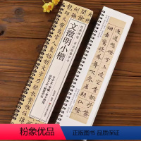 [正版]文徵明小楷 千字文琴赋草堂志醉翁亭记书法成人学生初学入门经典碑帖全文原大版墨迹本近距离书法临摹字卡