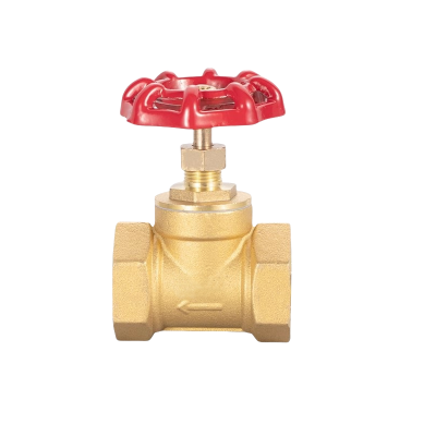 智铮朗月 铜闸阀 DN32 个