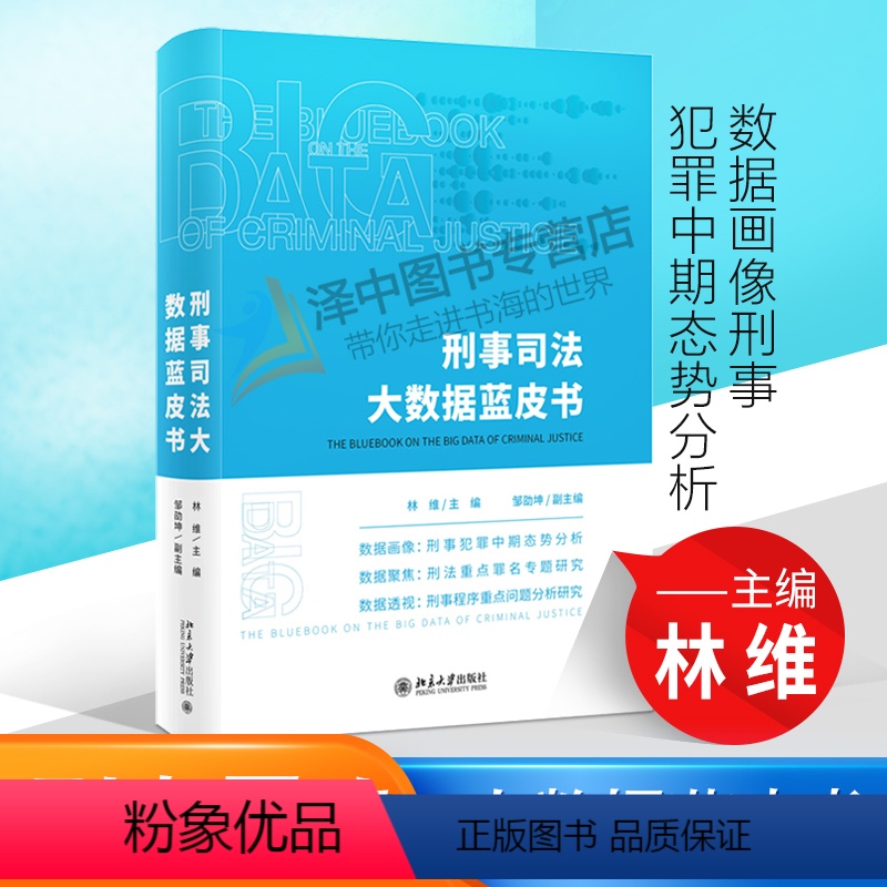 [正版]2020新 刑事司法大数据蓝皮书 林维 著 刑法 数据画像刑事犯罪中期态势分析 数据聚焦刑法重点罪名专题研究