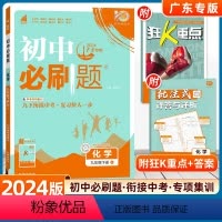 化学-人教版[ 广东专用] [正版]2024新版初中必刷题九年级下册化学人教版必刷题鲁教初三九下中考复习资料9年级下科粤
