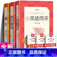 爱的教育+童年+小英雄雨来+考题册 [正版] 爱的教育 原著 全套 小学生四年级五年级六年级三年级的书 初中生课外书