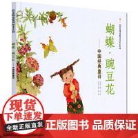 童书 蝴蝶豌豆花精装版 中国经典童诗金波著冰心奖儿童绘本3-6-8岁小学生一二三年级课外阅读非注音版亲子早教图画故事书籍