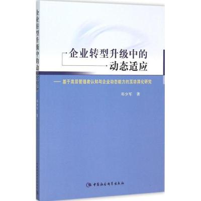 正版新书]企业转型升级中的动态适应:基于高层管理者认知与企业