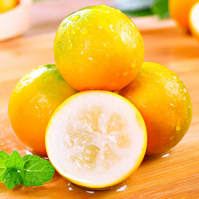 礼盒装[熊猫鸟]广西小金桔 4斤 中果 约45个/斤 新鲜水果脆甜滑皮冰糖金桔应当季水果