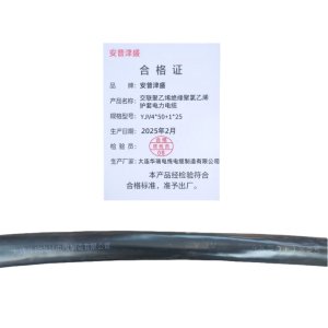 安普津盛 交联聚乙烯绝缘聚氯乙烯护套电力电缆 YJV4*50+1*25 米