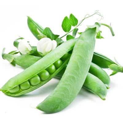 甜豌豆荚价格 甜豌豆荚最新报价 甜豌豆荚多少钱 苏宁易购