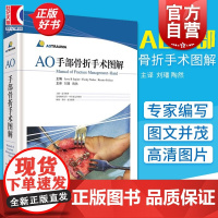 AO手部骨折手术图解 耶西.朱庇特 手部骨折处理指导性教材 骨科/手外科医师及相关临床工作者适用 上海科学技术出版社