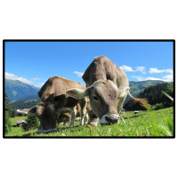 昌裕CY-CK-B6Y15.6安卓系统壁挂式触摸广告机