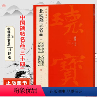 [正版]中国碑帖名品三十四北魏墓志名品[二] 元桢 元诠 元倪 元纂墓志铭 原碑帖 临摹楷书书法毛笔字帖 上海书画出版