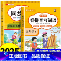 [五年级下册]看拼音写词语+同步作文 小学五年级 [正版]看拼音写词语五年级下册 语文小学注音生字拼音拼读字词5年级上汉